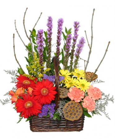 Best Selling Bouquets from Cole’s Flowers